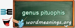 WordMeaning blackboard for genus pituophis